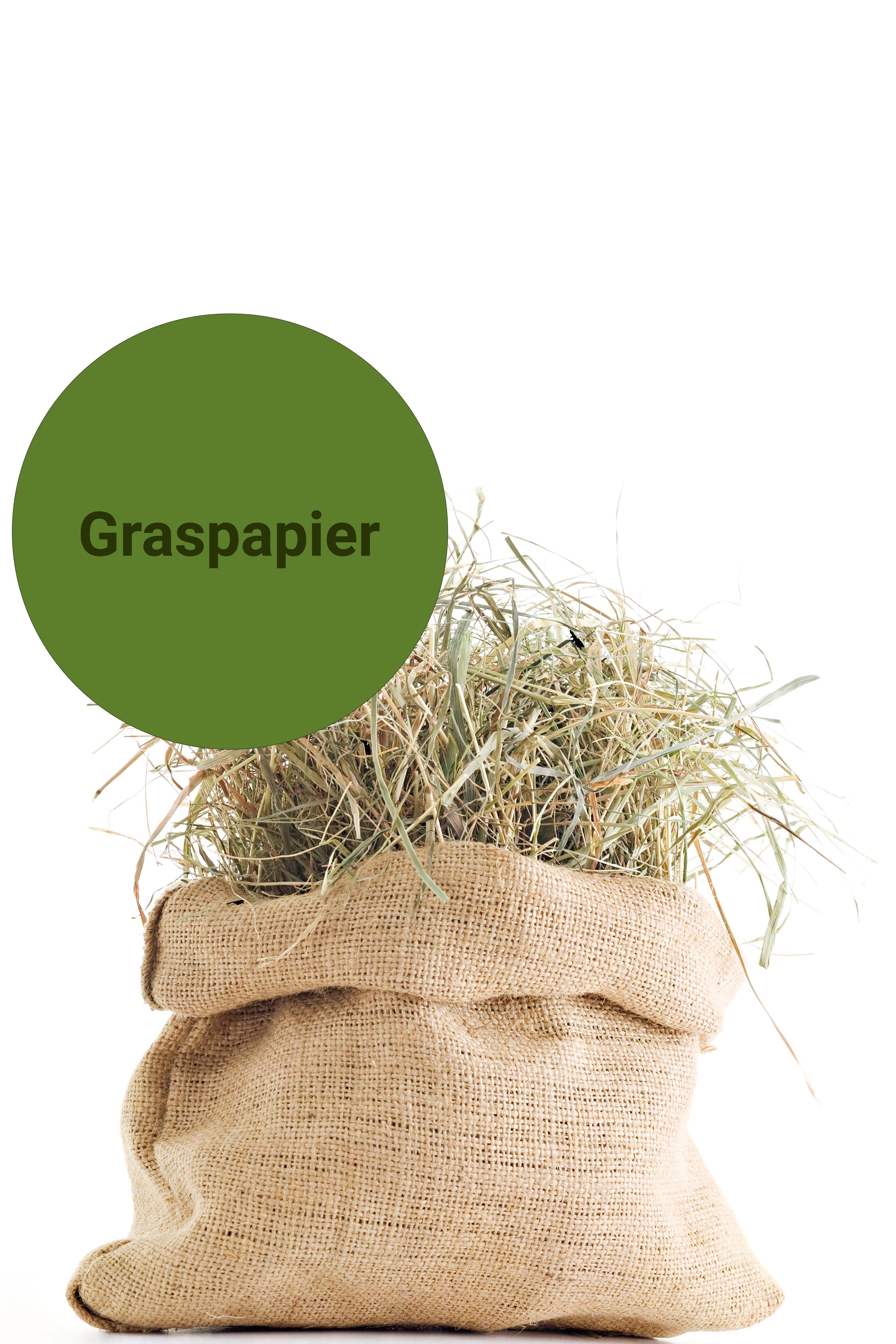 ENDI-HAFT Schreibpapier aus Gras, Bogenware im Format 50x70 cm, 500 Blatt, 90 g/m²