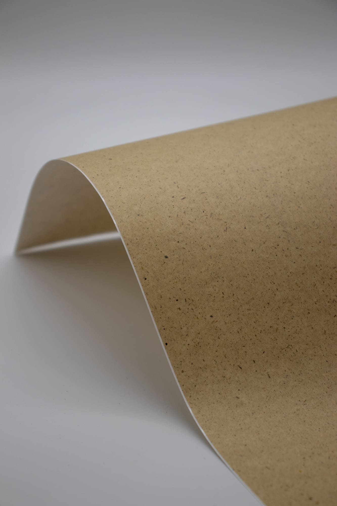 ENDI-HAFT Graspapier Etiketten, 63,5x38,1 mm auf DIN A4 Bögen